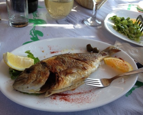 piatto-pesce-alla-griglia-albaniainsieme.