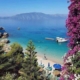 mare azzurro, penisola, piante e fiori in primo piano