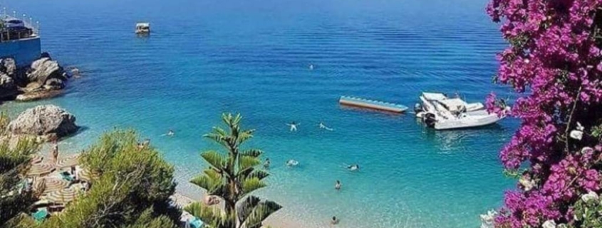 mare azzurro, penisola, piante e fiori in primo piano