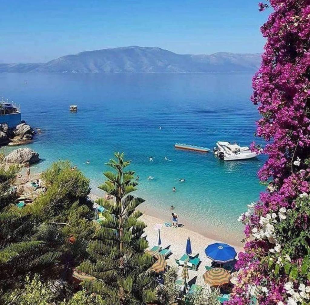 mare azzurro, penisola, piante e fiori in primo piano